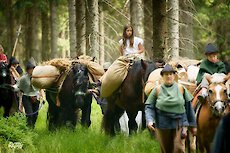 Bayerischer Wald